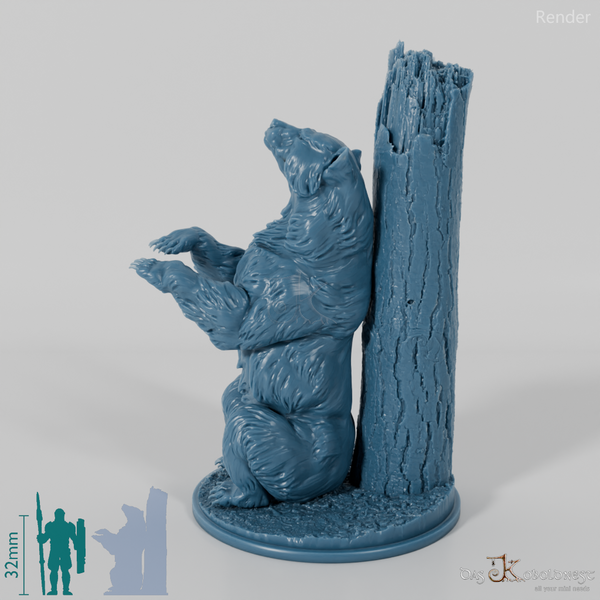 Bear - Grizzly Bear 02