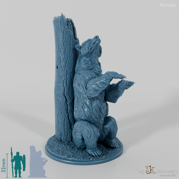 Bear - Grizzly Bear 02