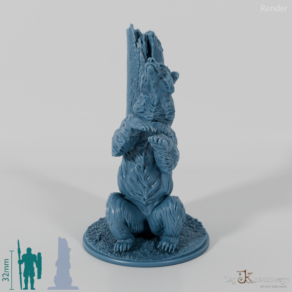 Bear - Grizzly Bear 02