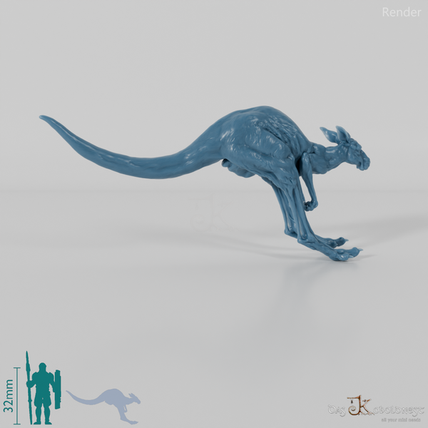 Kangaroo - Red Kangaroo - Female 01