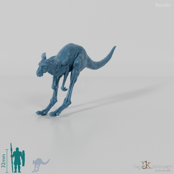 Kangaroo - Red Kangaroo - Female 01