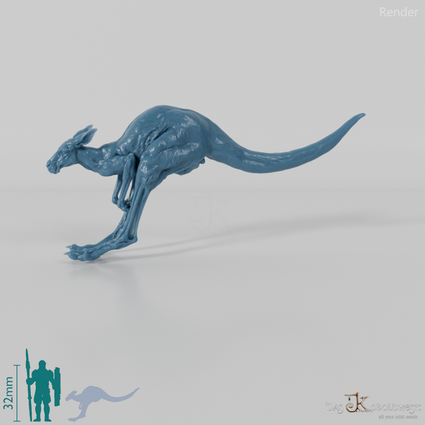 Kangaroo - Red Kangaroo - Female 01