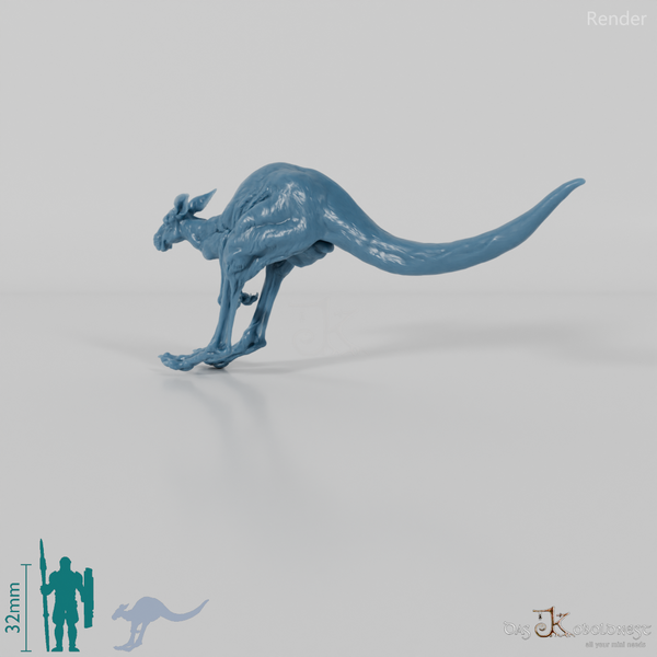 Kangaroo - Red Kangaroo - Female 01