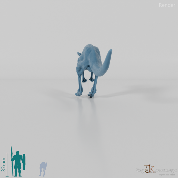 Kangaroo - Red Kangaroo - Female 01