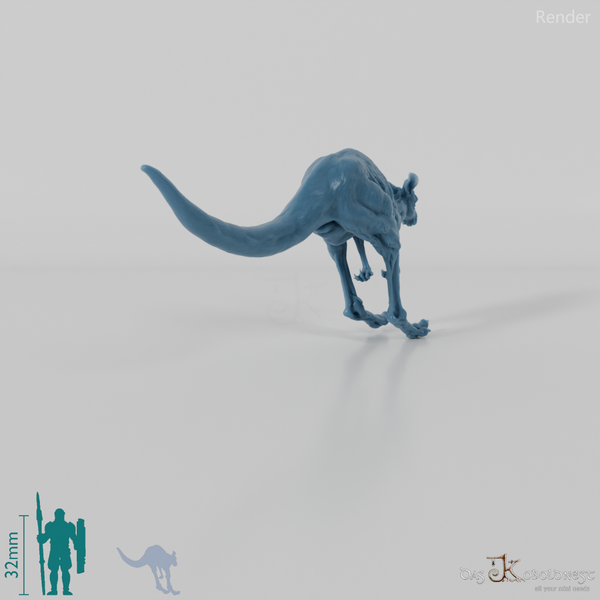 Kangaroo - Red Kangaroo - Female 01