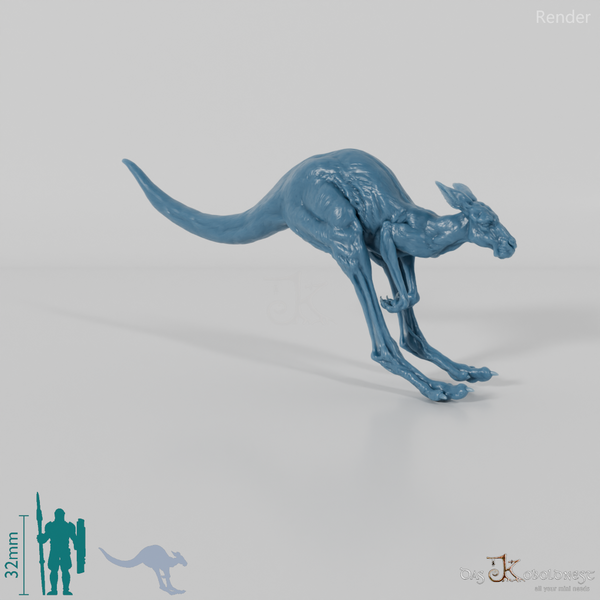 Kangaroo - Red Kangaroo - Female 01