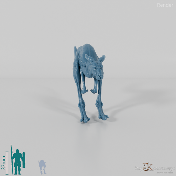 Kangaroo - Red Kangaroo - Female 01