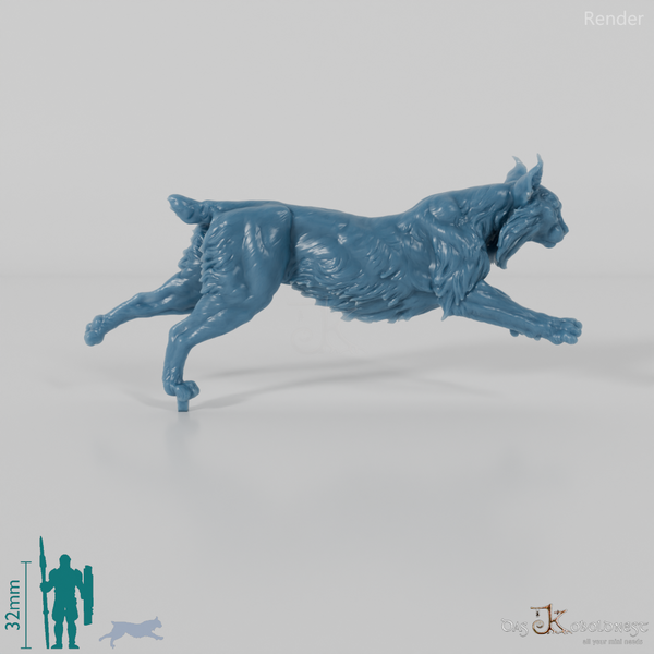 Luchs - Pardelluchs 02