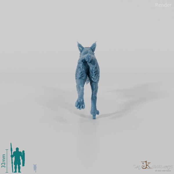 Luchs - Pardelluchs 02