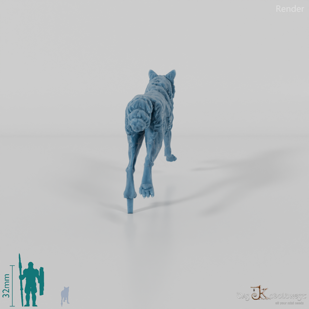 Wolf - Iberischer Wolf 02