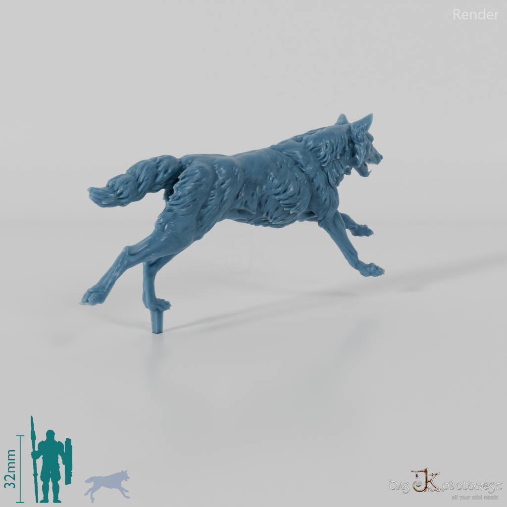 Wolf - Iberischer Wolf 02