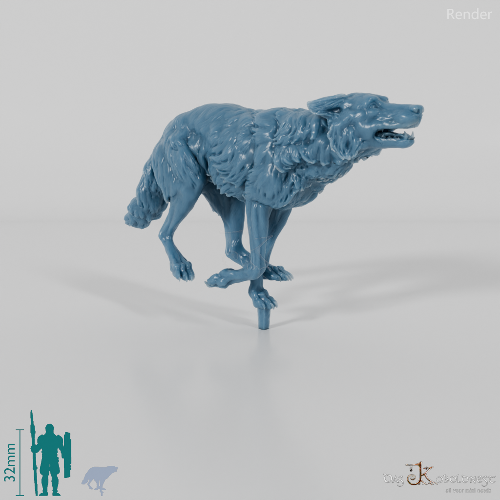Wolf - Iberischer Wolf 03