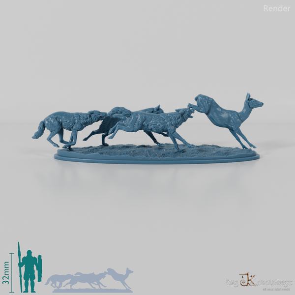 Wolf - Iberian wolves hunting European deer