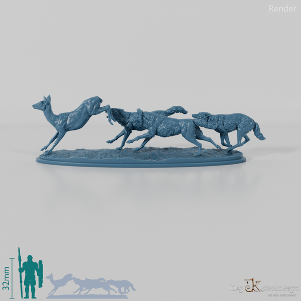 Wolf - Iberian wolves hunting European deer