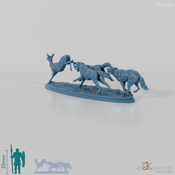 Wolf - Iberian wolves hunting European deer