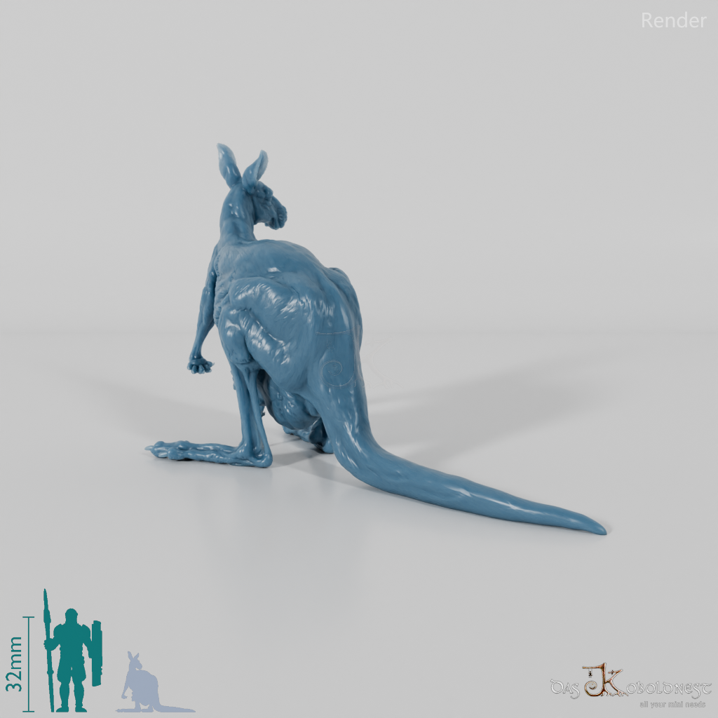 Känguru - Rotes Riesenkänguru - Weibchen 02