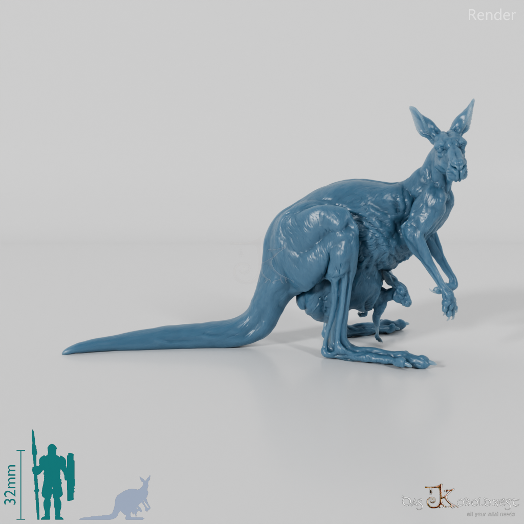 Kangaroo - Red Kangaroo - Female 02