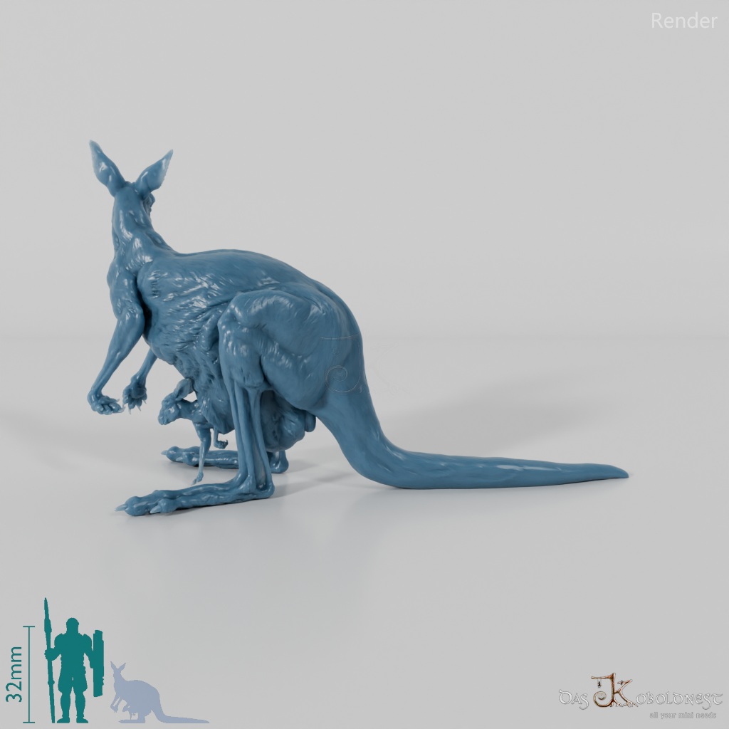 Kangaroo - Red Kangaroo - Female 02
