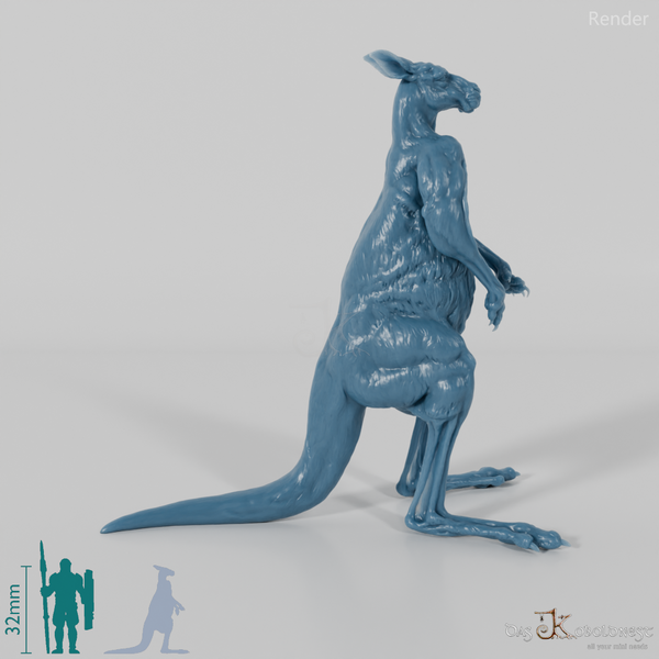 Kangaroo - Red Kangaroo - Male 01