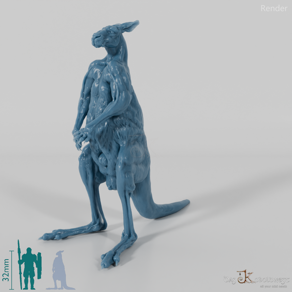 Kangaroo - Red Kangaroo - Male 01