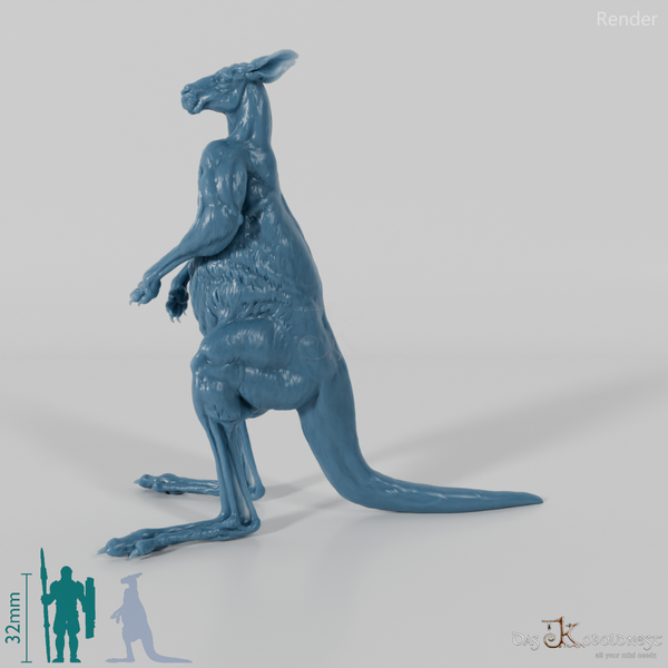 Kangaroo - Red Kangaroo - Male 01