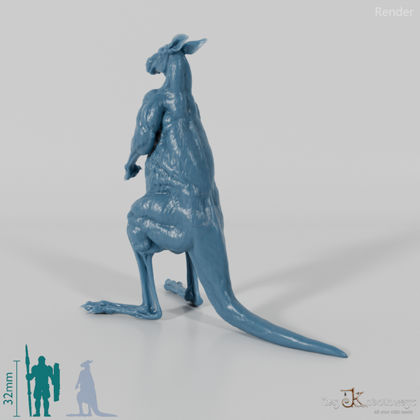 Kangaroo - Red Kangaroo - Male 01