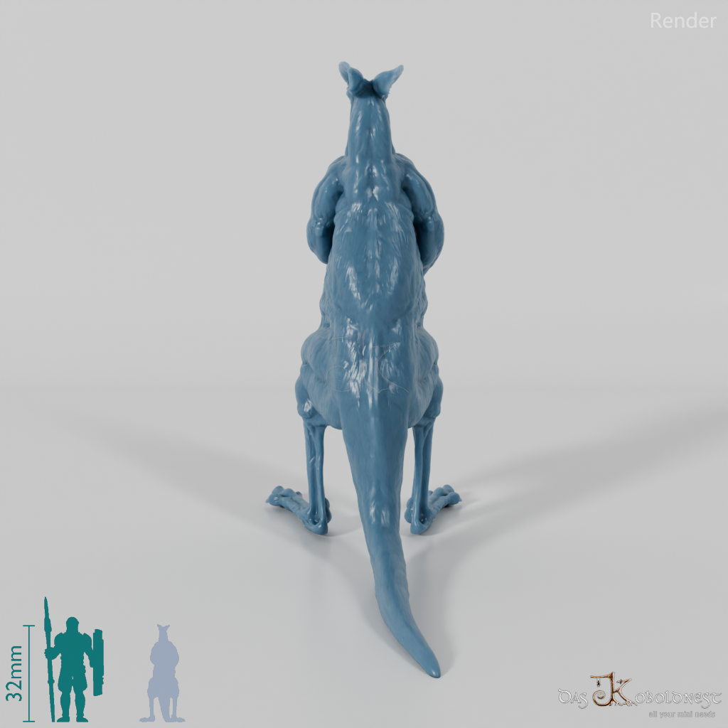Känguru - Rotes Riesenkänguru - Männchen 01