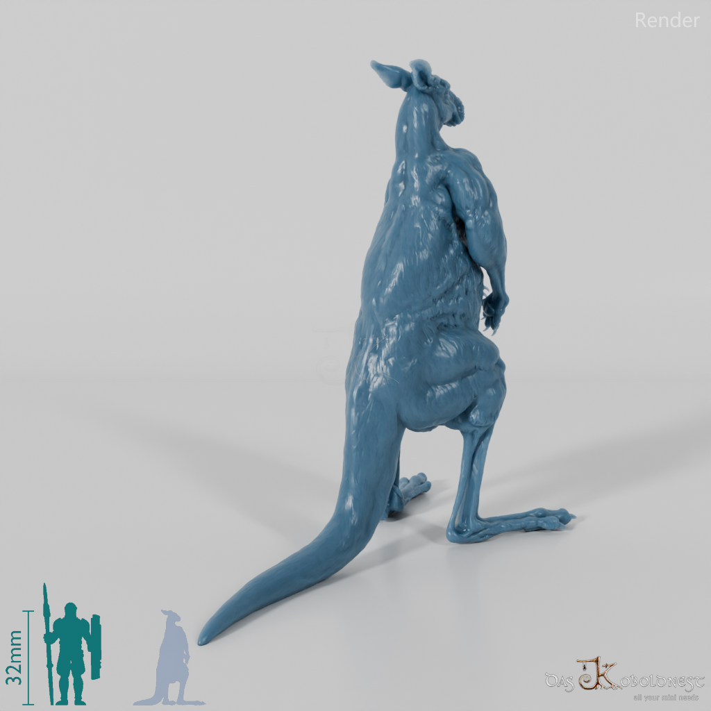 Kangaroo - Red Kangaroo - Male 01
