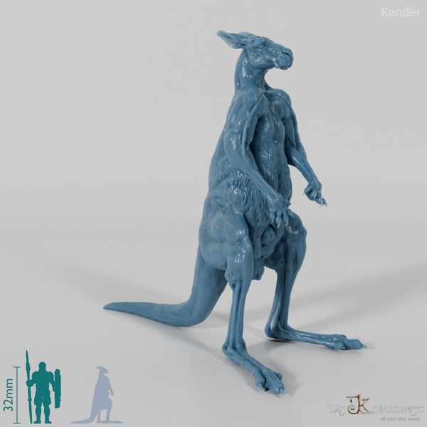 Kangaroo - Red Kangaroo - Male 01