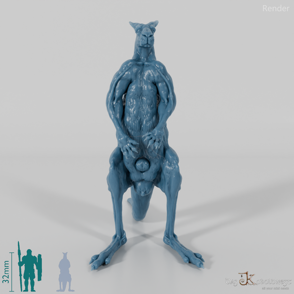 Kangaroo - Red Kangaroo - Male 01