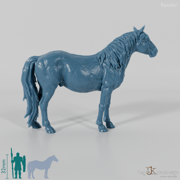 Horse - Konik 01