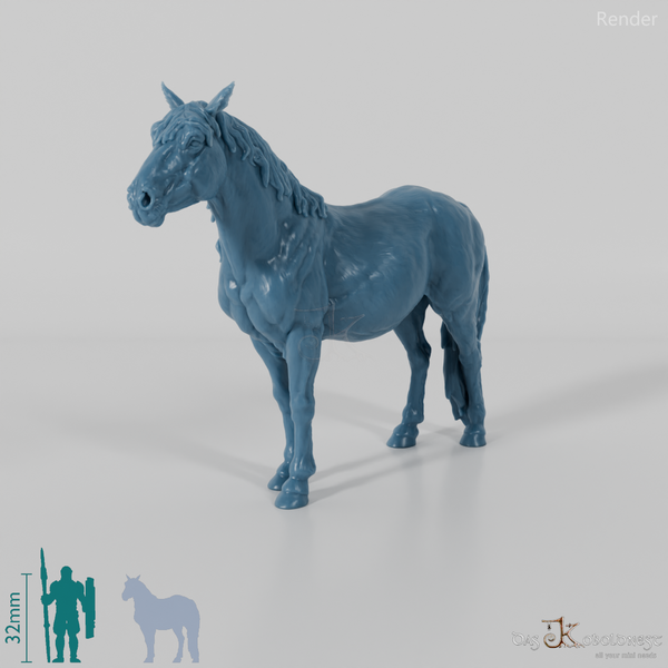 Horse - Konik 01