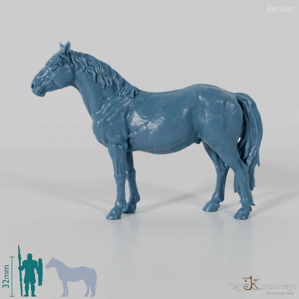 Horse - Konik 01
