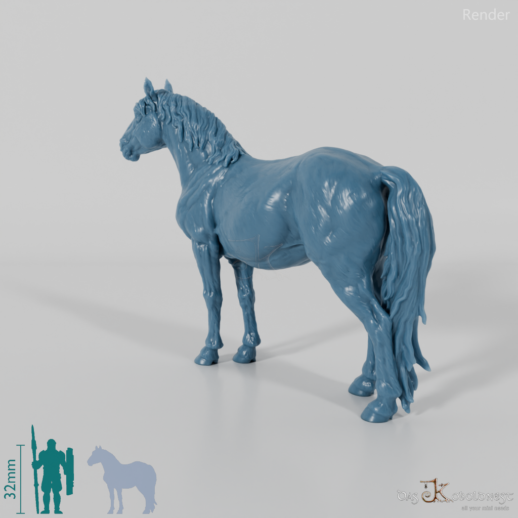 Horse - Konik 01