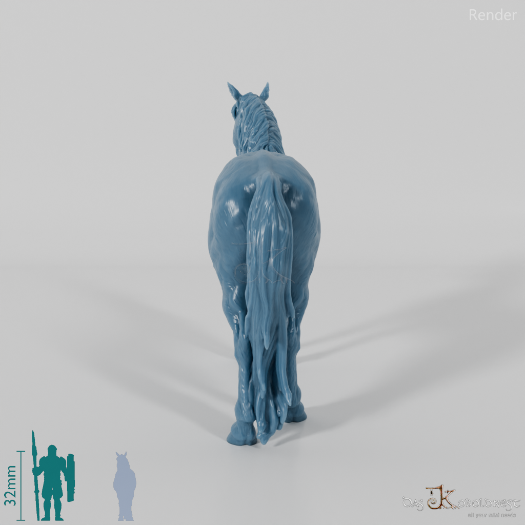 Pferd - Konik 01
