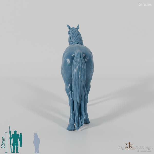 Horse - Konik 01