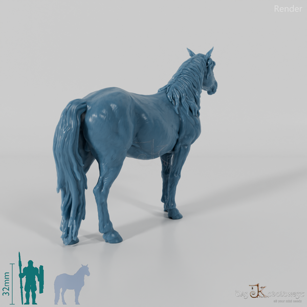Horse - Konik 01