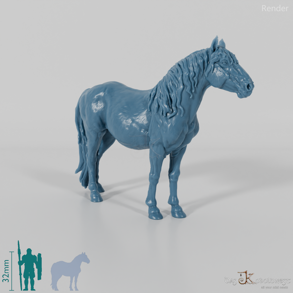 Horse - Konik 01