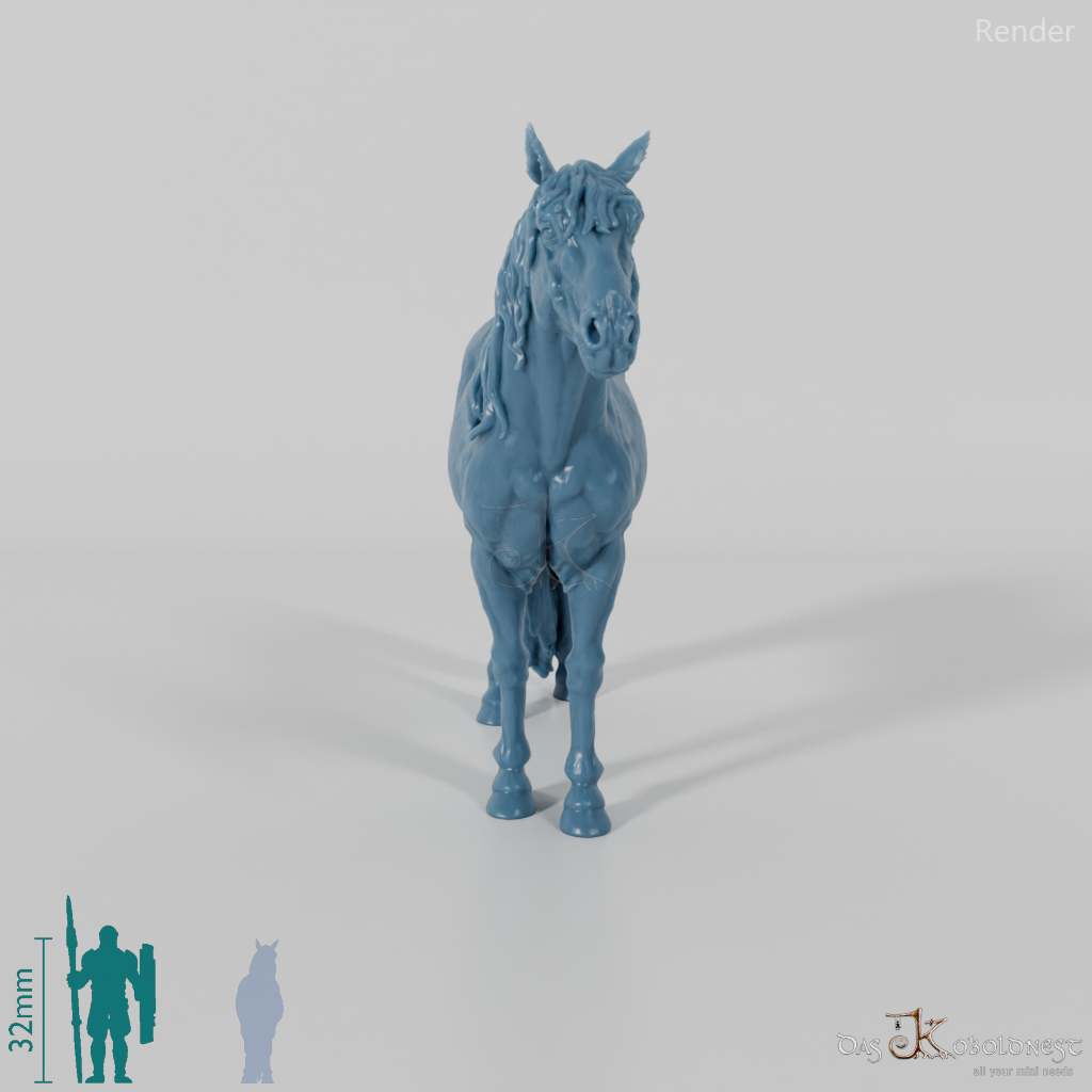 Pferd - Konik 01
