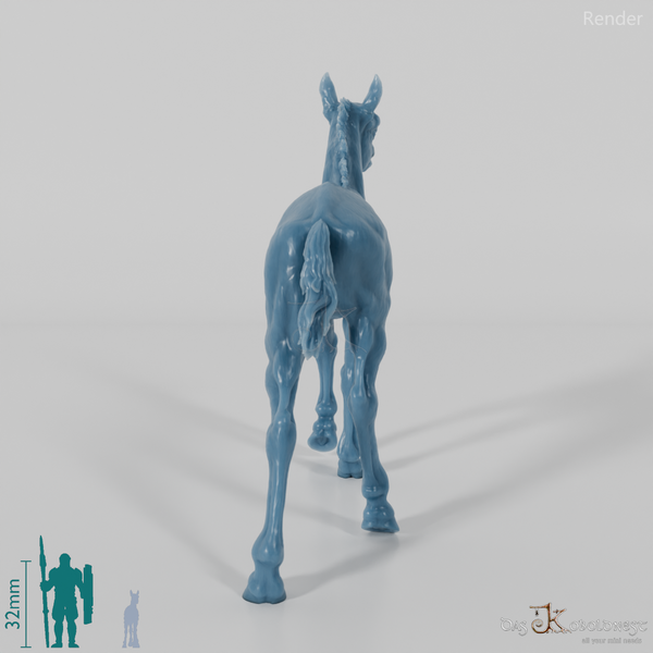 Pferd - Konik-Fohlen 01