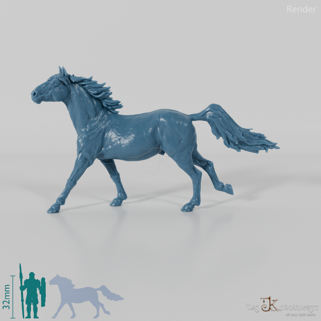 Pferd - Konik 02