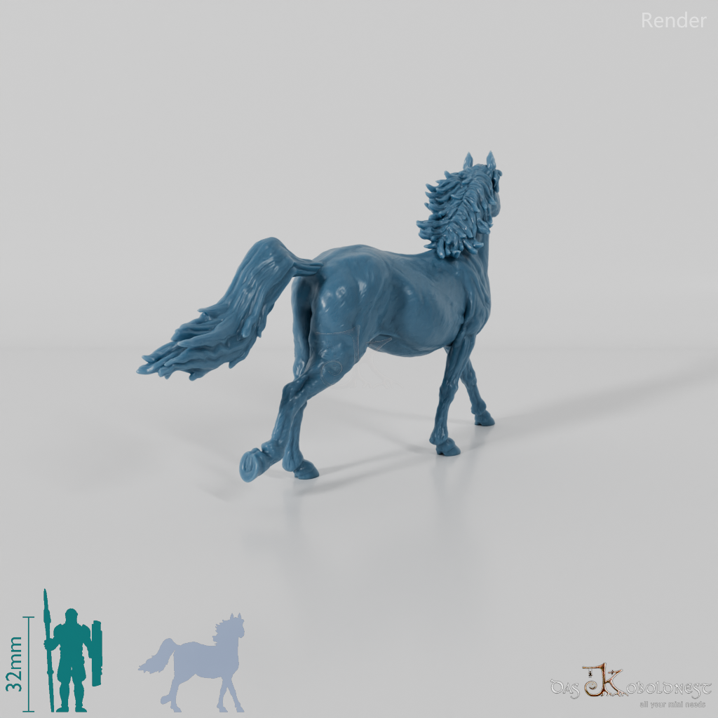 Pferd - Konik 02