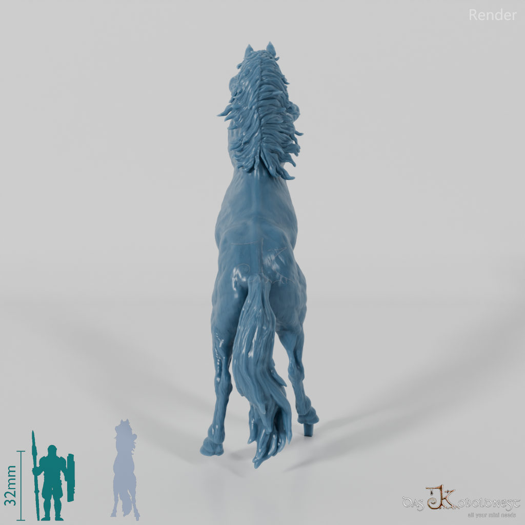 Pferd - Konik 03