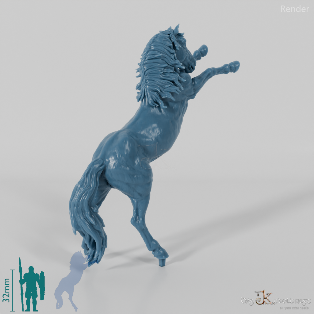 Pferd - Konik 03