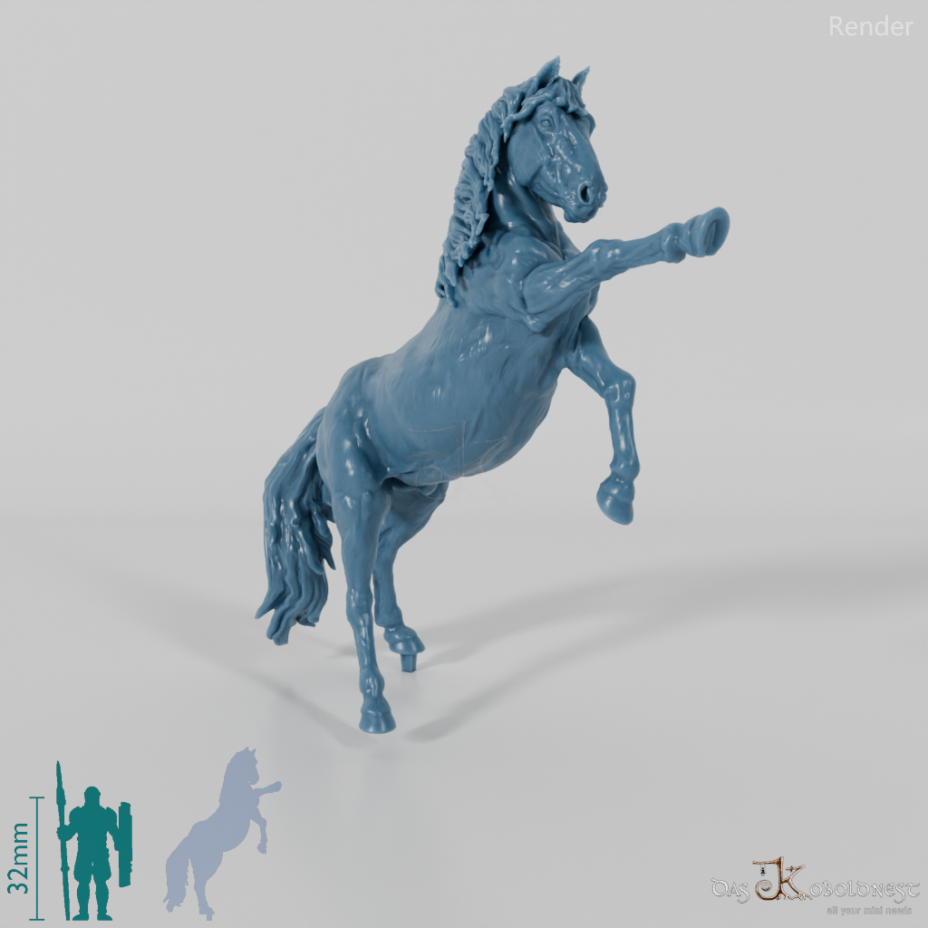 Horse - Konik 04