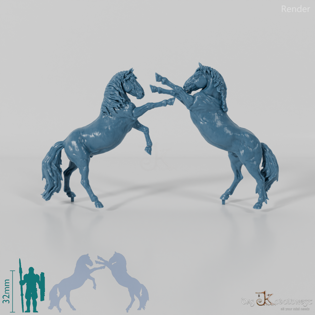 Horse - Koniks - Fighting