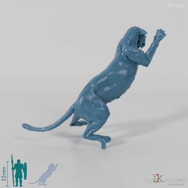 Big Cat - Leopard 02