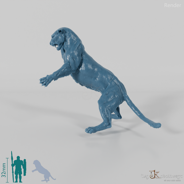 Big Cat - Leopard 02