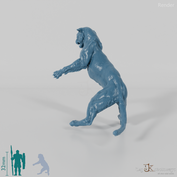 Big Cat - Leopard 02