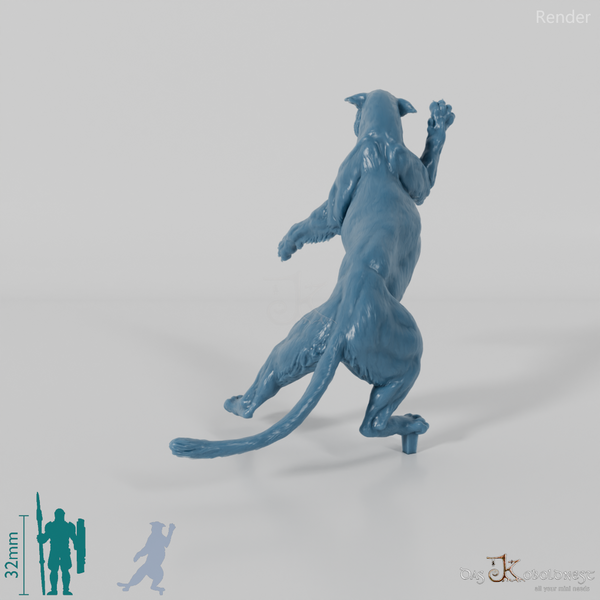 Big Cat - Leopard 02